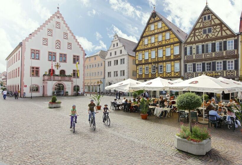 Savoy Hotel Bad Mergentheim