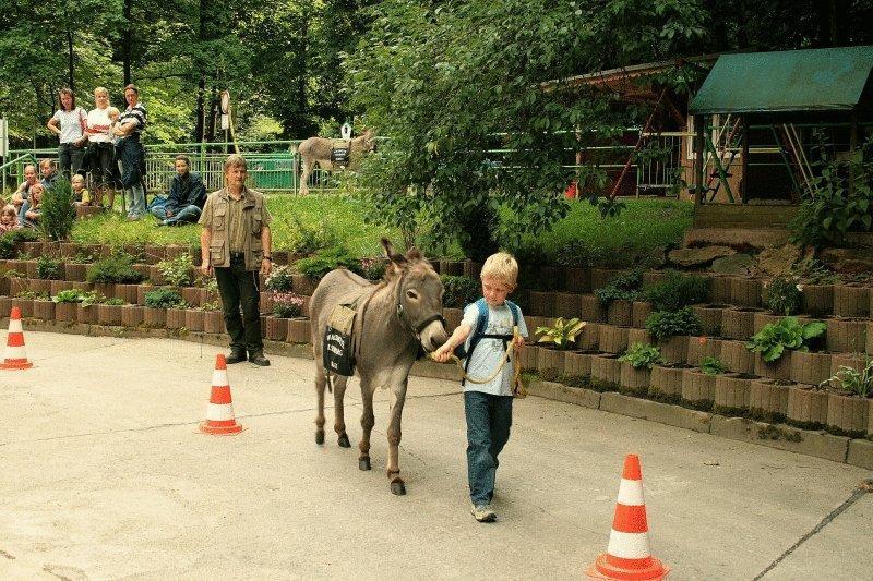 Waldhotel Am Ilsestein