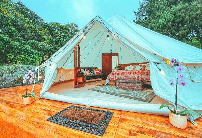 הוסטל La Gloria Reserva Forestal