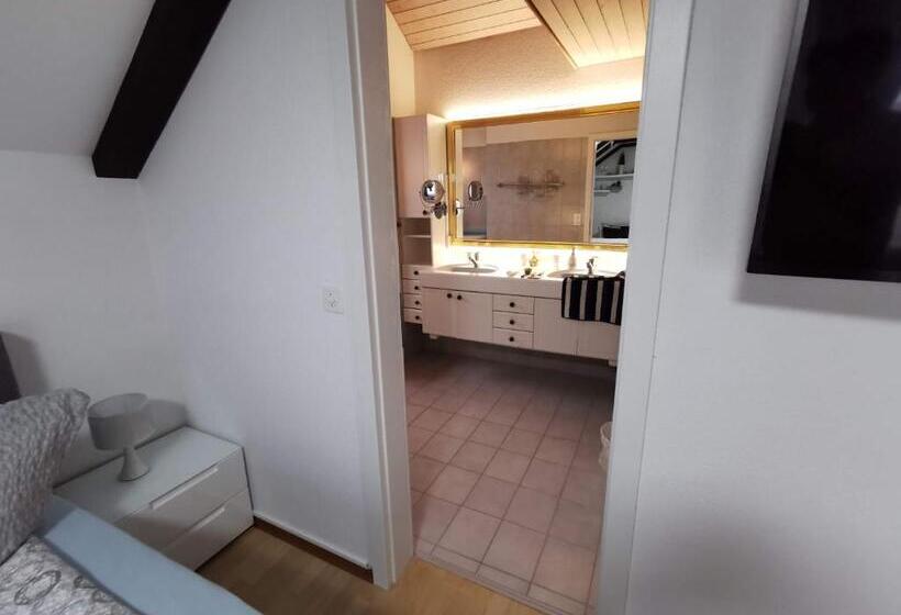 Apart Hotel Near Lucerne