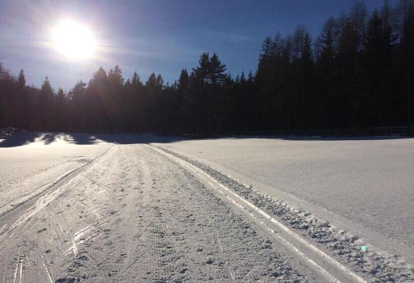 مبيت وإفطار Haus Schweigl