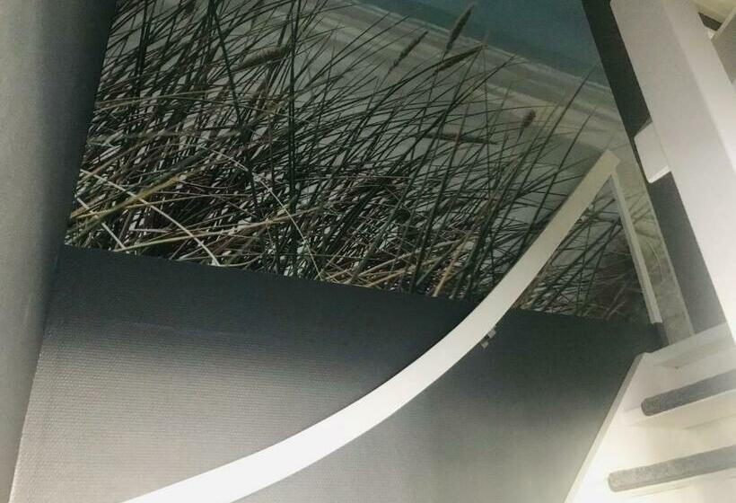 Bed and Breakfast Homestay Harlingen