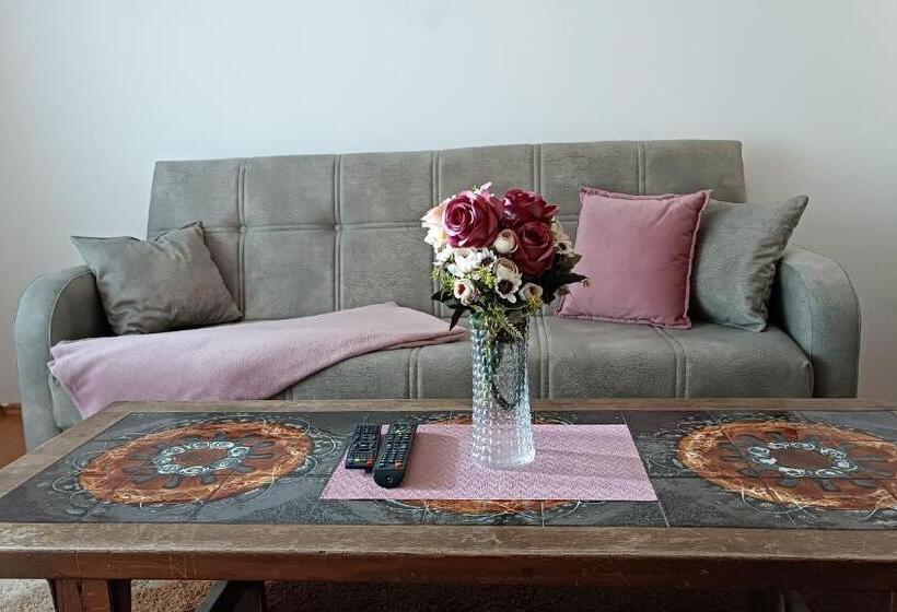 هاستل City Park Apartments