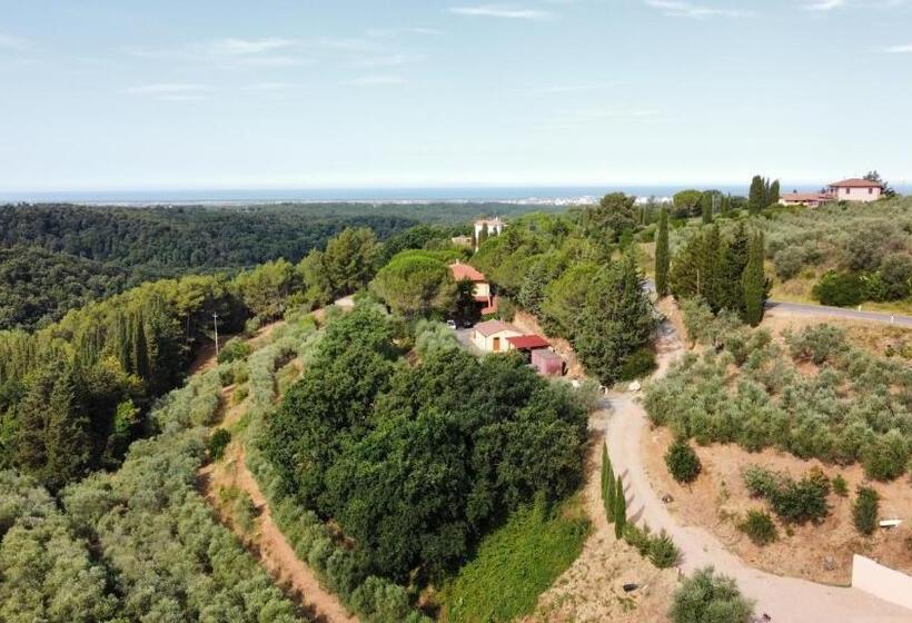 فندق Agriturismo I Cerroni Montescudaio