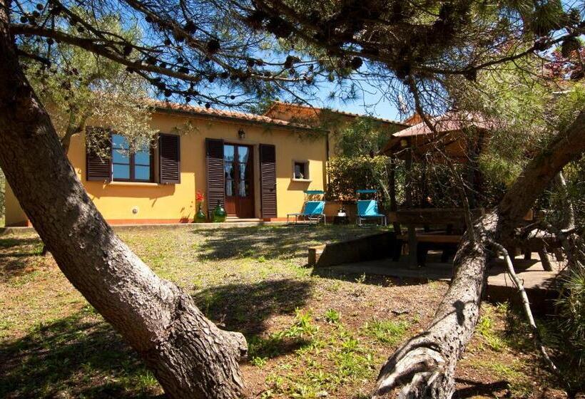 فندق Agriturismo I Cerroni Montescudaio