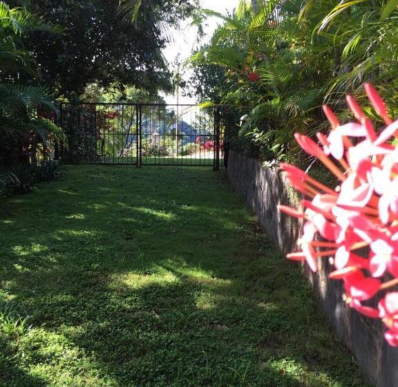 호텔 Casa Libertinn