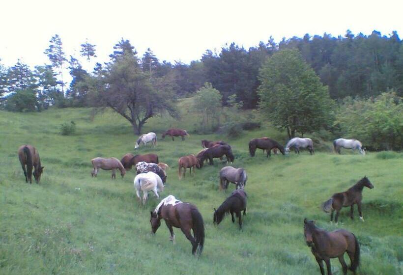 ホテル Els Torrents