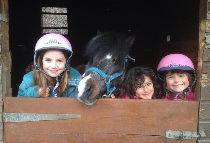 ホテル Els Torrents