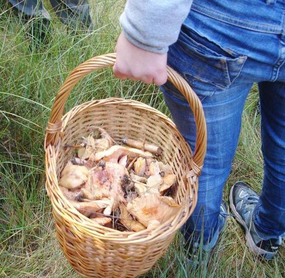 ホテル Els Torrents