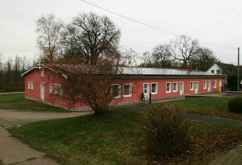 酒店 Ferienwohnung In Alt Karin