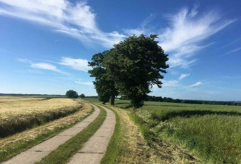 فندق Ferienwohnung In Alt Karin