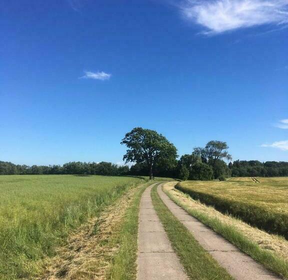 فندق Ferienwohnung In Alt Karin