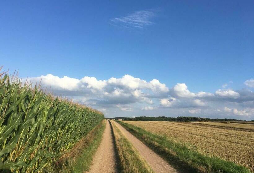 酒店 Ferienwohnung In Alt Karin