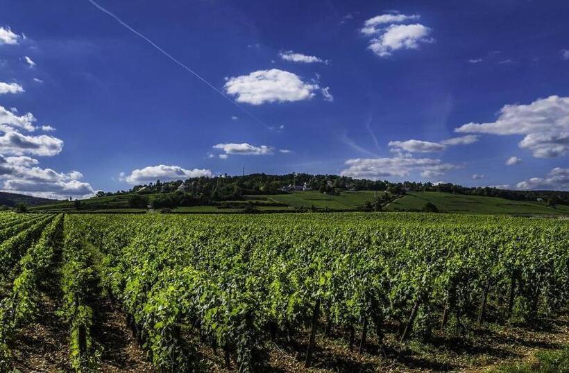酒店 La Maison Du Tonnelier   élégance & Tradition Sur La Route Des Grands Crus De Bourgogne