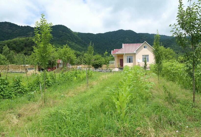 ホテル Qebele Vendam