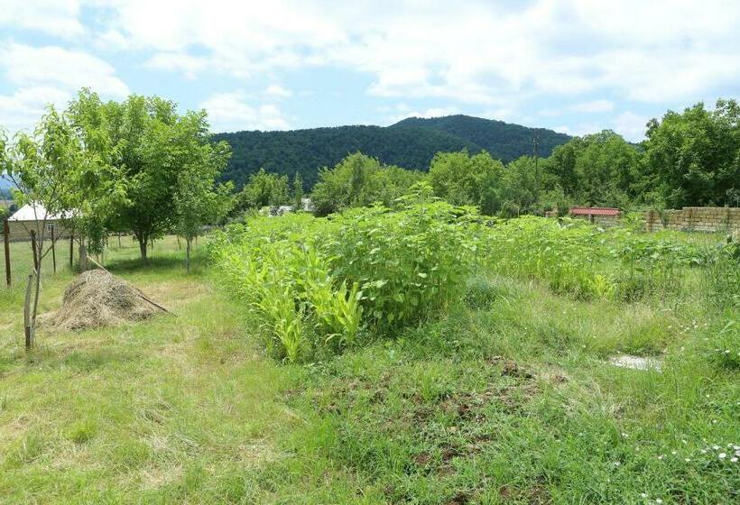 ホテル Qebele Vendam