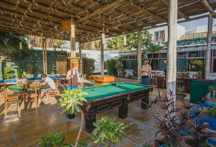 Viajero Paracas Hostel