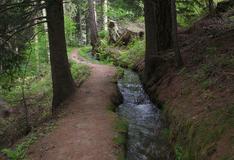 Mountain Village Hasenegg