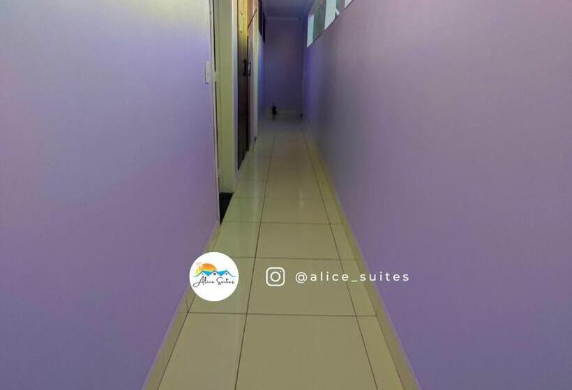 膳宿费 Alice Suites