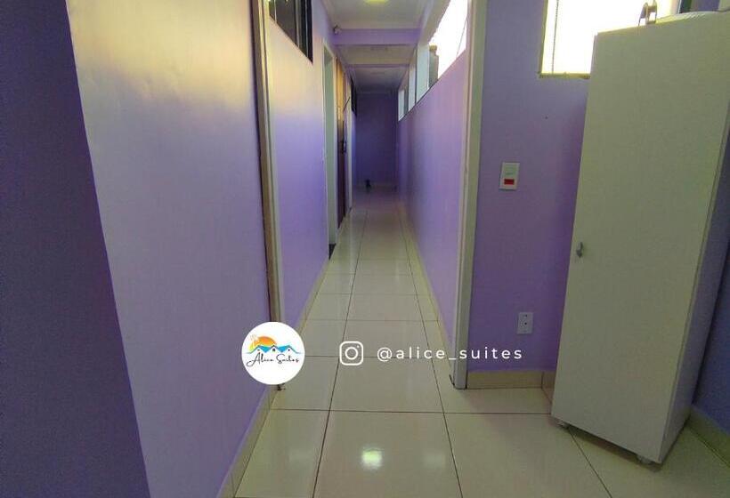 膳宿费 Alice Suites