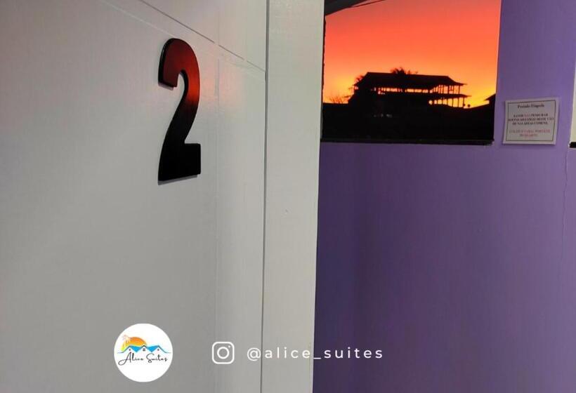 膳宿费 Alice Suites