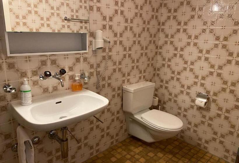 פנסיון Berggasthaus Piz Calmot