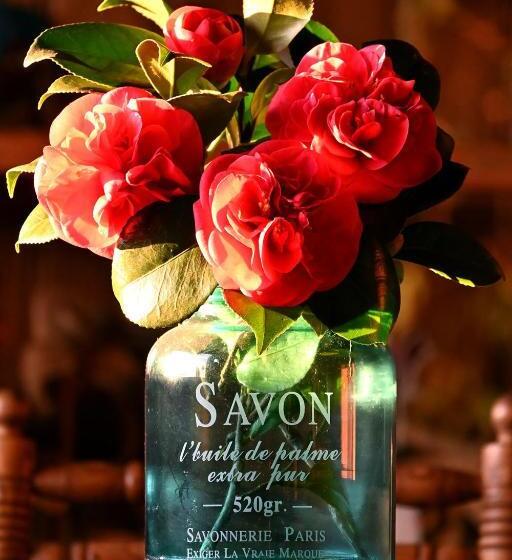 Пансион Casal Da Serra