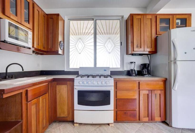 פנסיון Driftwood Gardens Guesthouse