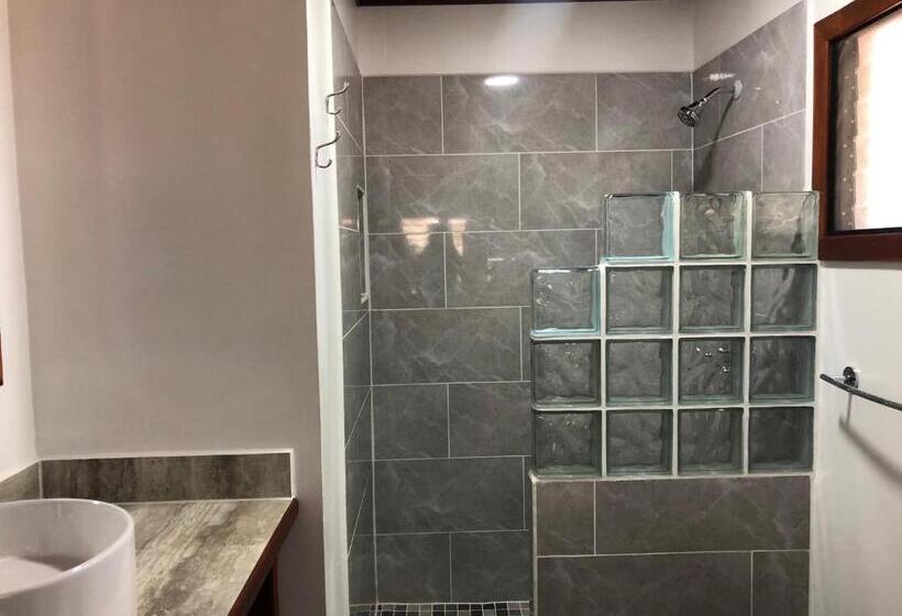 פנסיון Driftwood Gardens Guesthouse