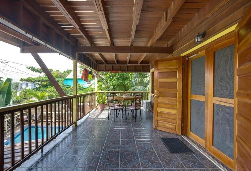 פנסיון Driftwood Gardens Guesthouse