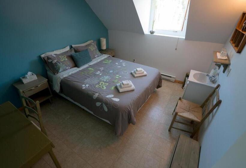 بنسيون Le Goéland