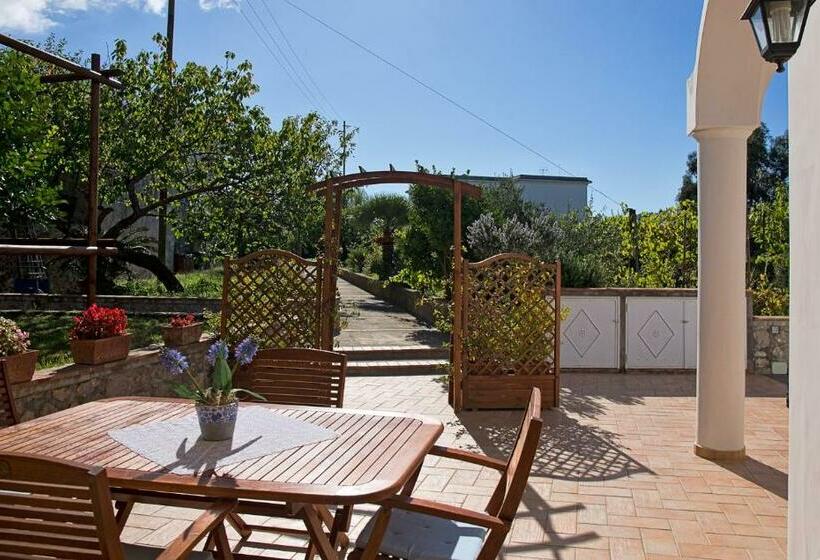 بنسيون Parco Vittoria Holidays House