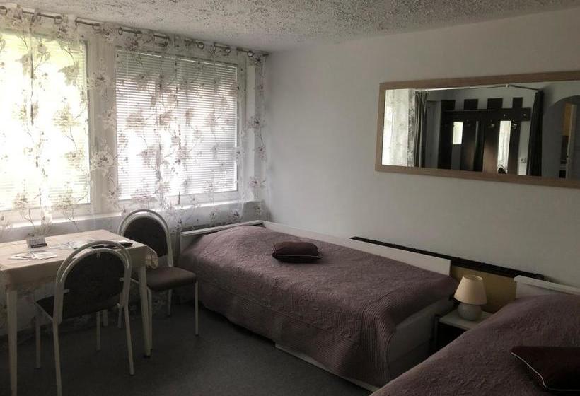 פנסיון Penzion Tereza