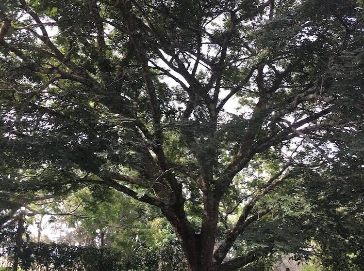 ペンション Pousada Vale Das Primaveras