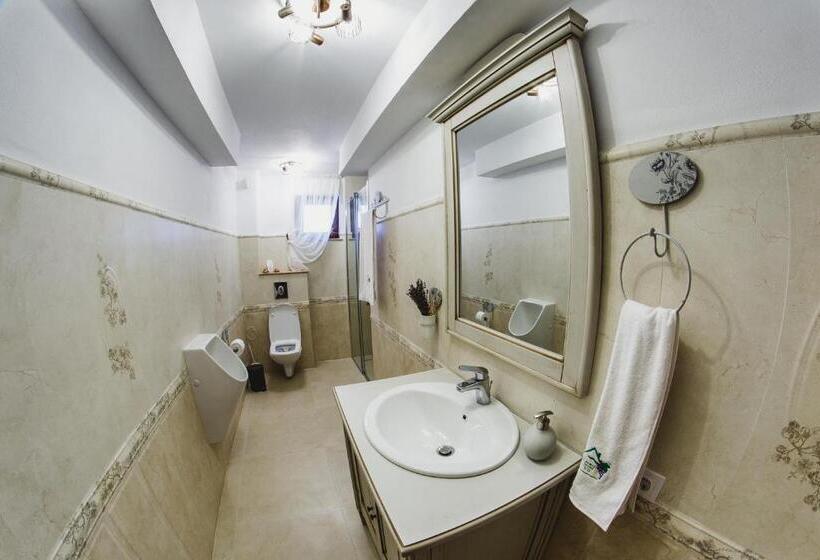 פנסיון Cabana Dintre Vii