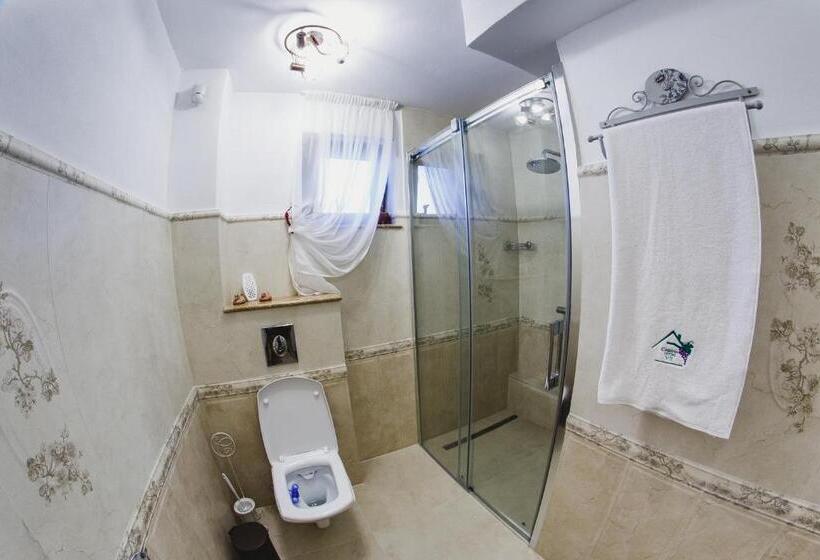 بنسيون Cabana Dintre Vii