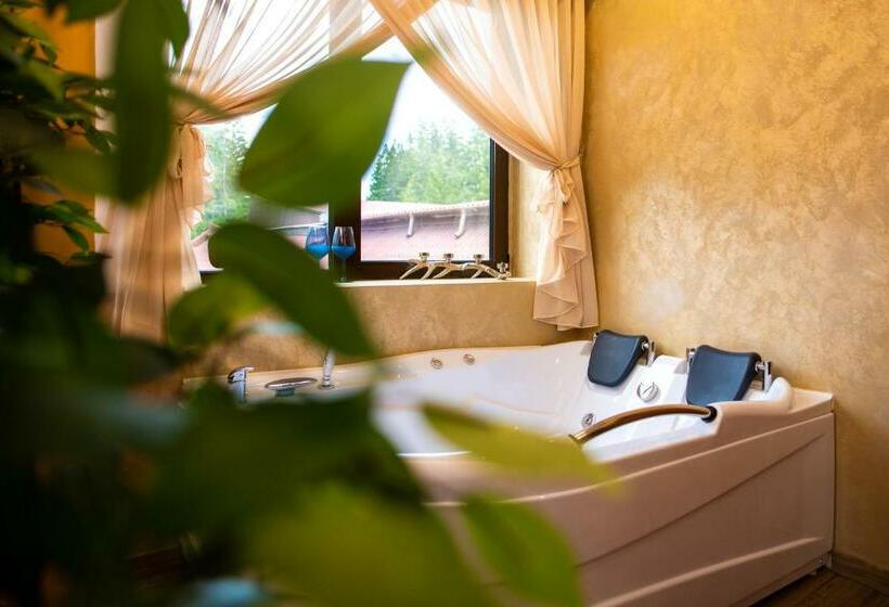 Пансион Vila Simonte Poiana Brasov