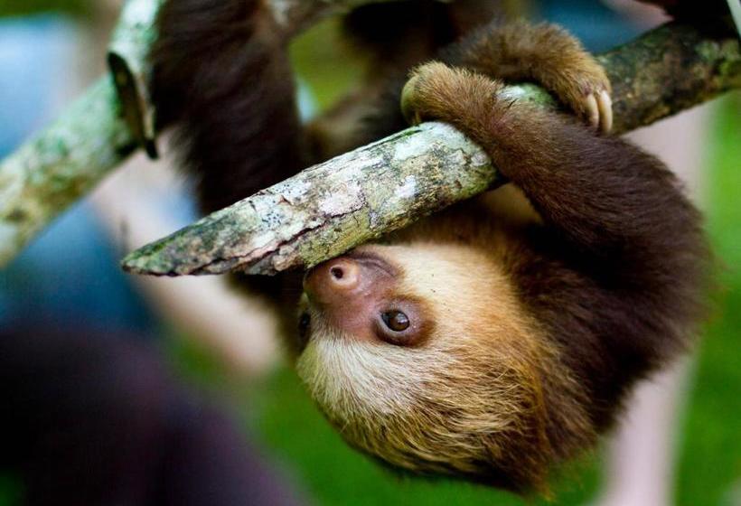 膳宿费 Villa # 3   High End Studio Apartment