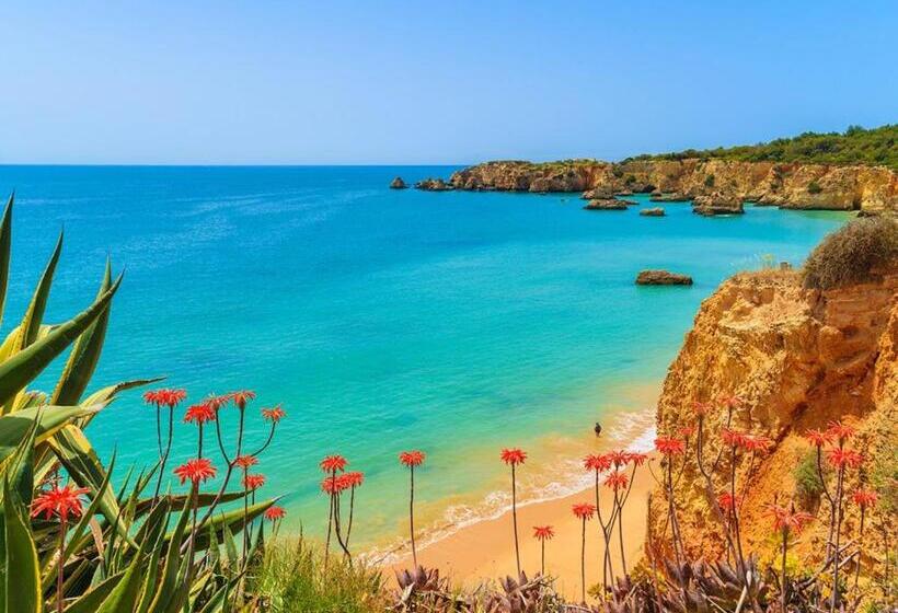 پانسیون Villa Vale De Lapa Amazing Sea Views Heated Swimming Pool Jacuzzi Ac   Stunning House