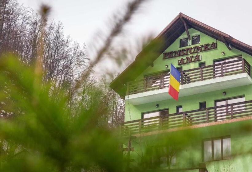 Pensiunea Ana