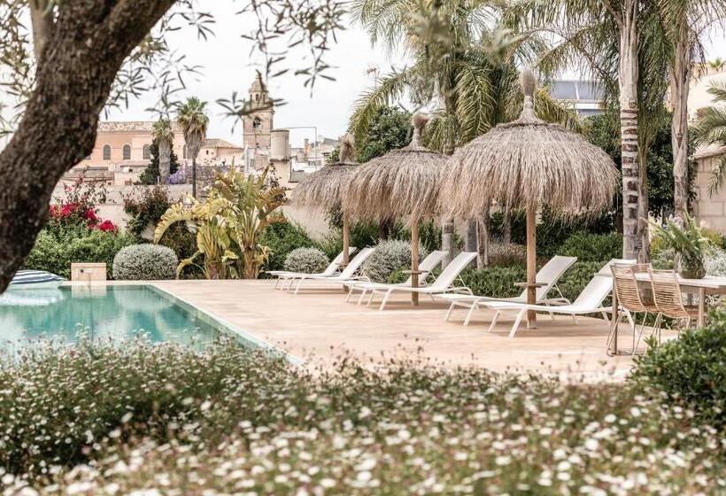 渡假胜地 Can Sull