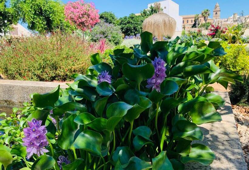 渡假胜地 Can Sull