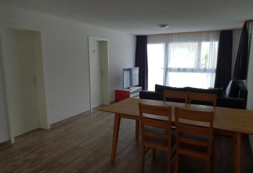 Swiss Chalet Holidays Ringgenberg