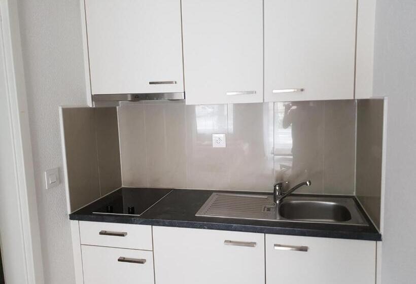 Swiss Chalet Holidays Ringgenberg