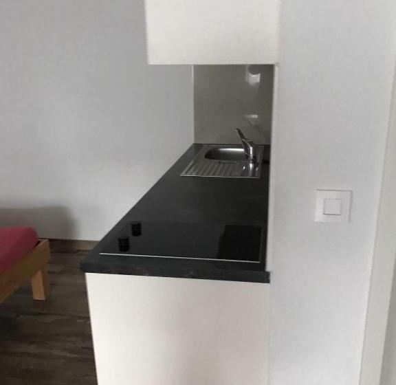 Swiss Chalet Holidays Ringgenberg