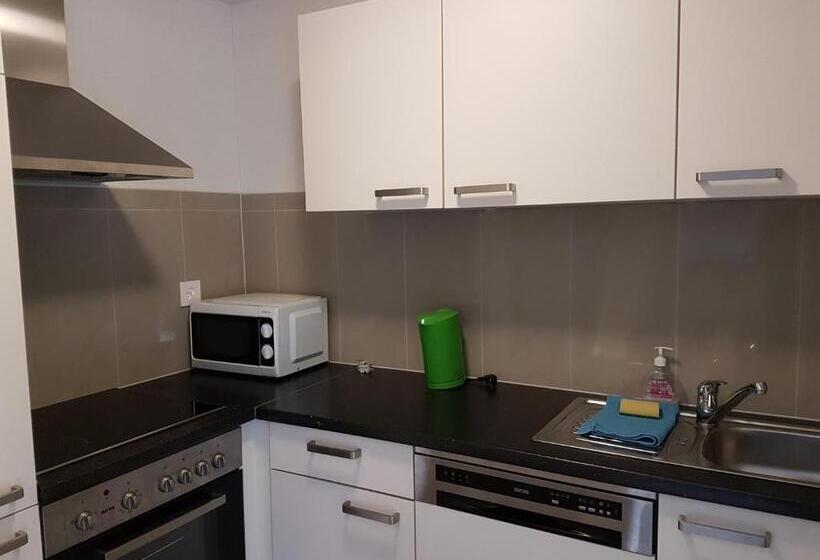 Swiss Chalet Holidays Ringgenberg