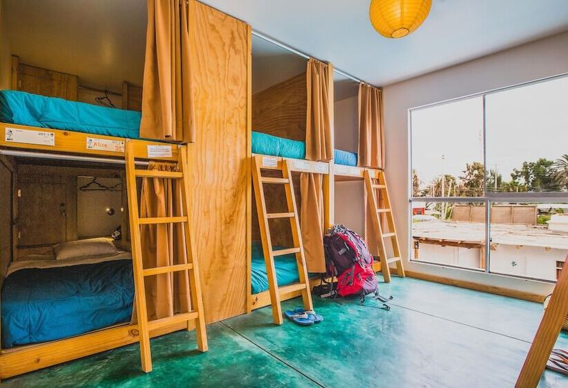 Viajero Paracas Hostel