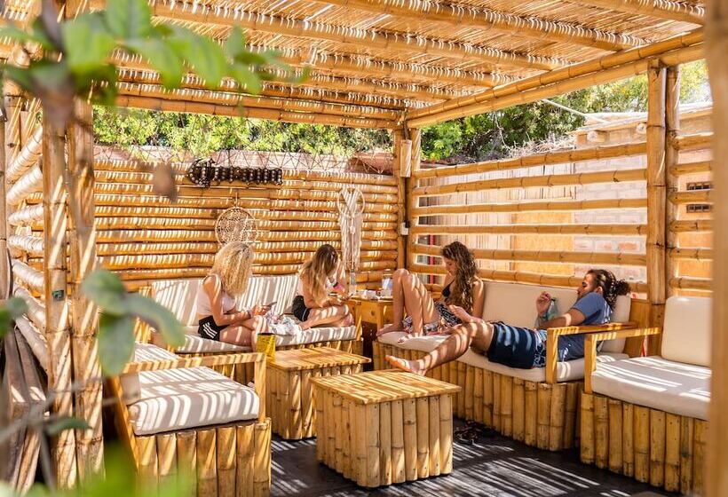 Viajero Paracas Hostel