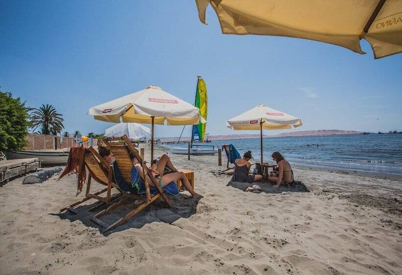 Viajero Paracas Hostel