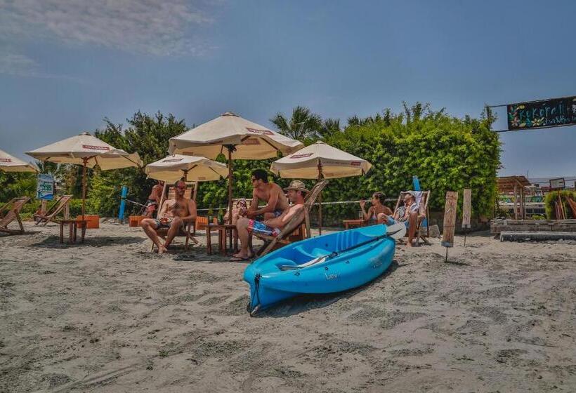 Viajero Paracas Hostel